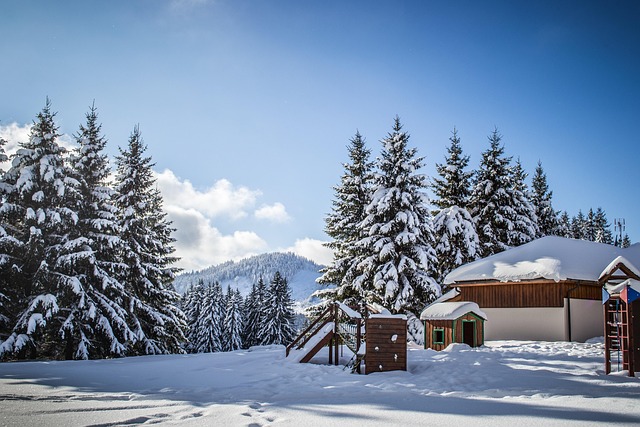 Šumava v zimě